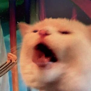 Meet your Posher, Katherine